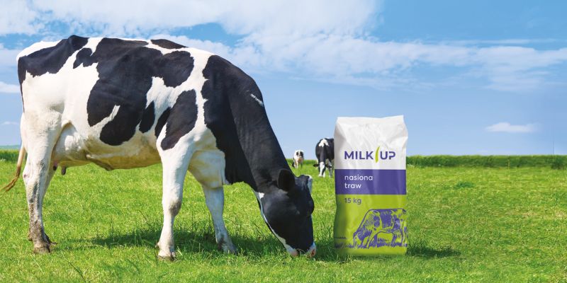 Trawy pastewne gatunki - Milk Up