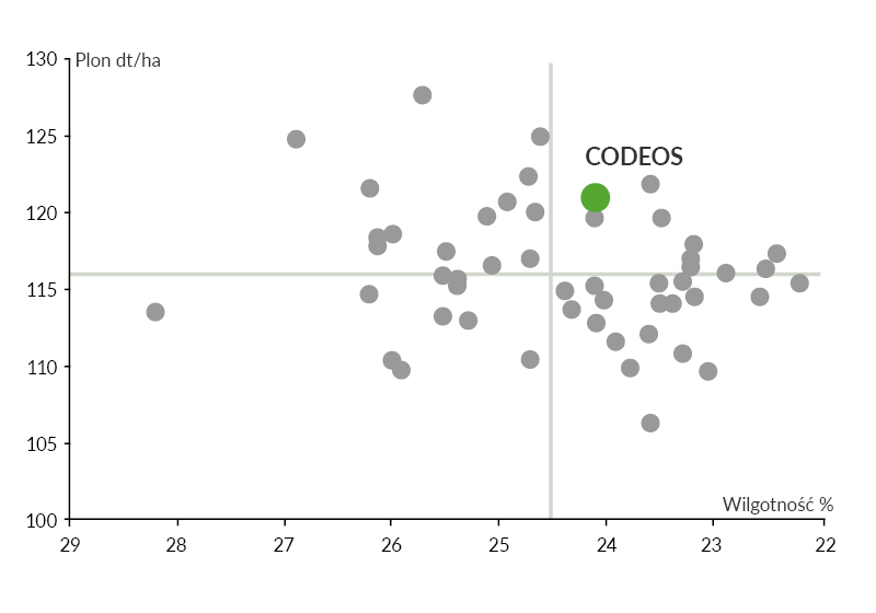 Plonowanie Codeos na tle innych odmian, doświadczenia rozpoznawcze COBORU PZPK, grupa średnio wczesna, 2019 r.