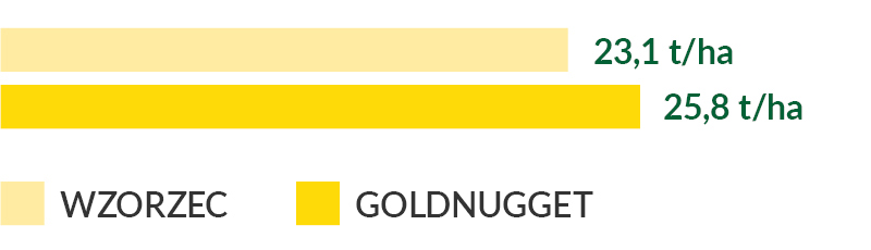 Goldnugget - plon ogólny suchej masy