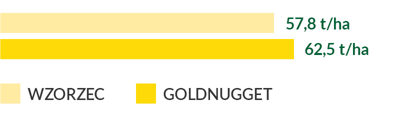 Goldnugget - plon ogólny świżej masy