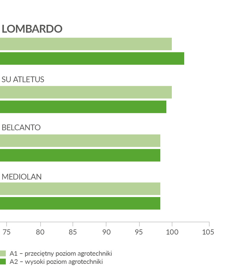 Lombardo - plonowanie 2022