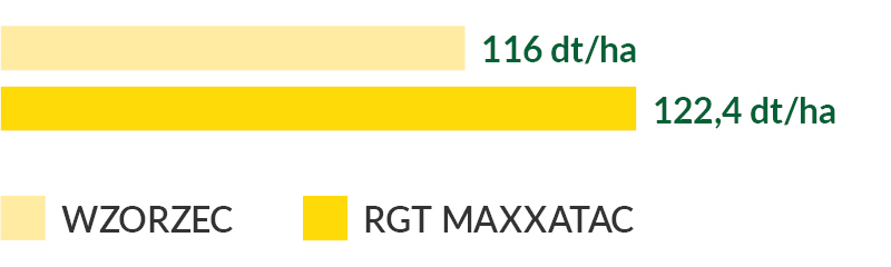 RGT Maxxatac - plon ziarna 2019 (doświadczenia rozpoznawcze COBORU PZPK)